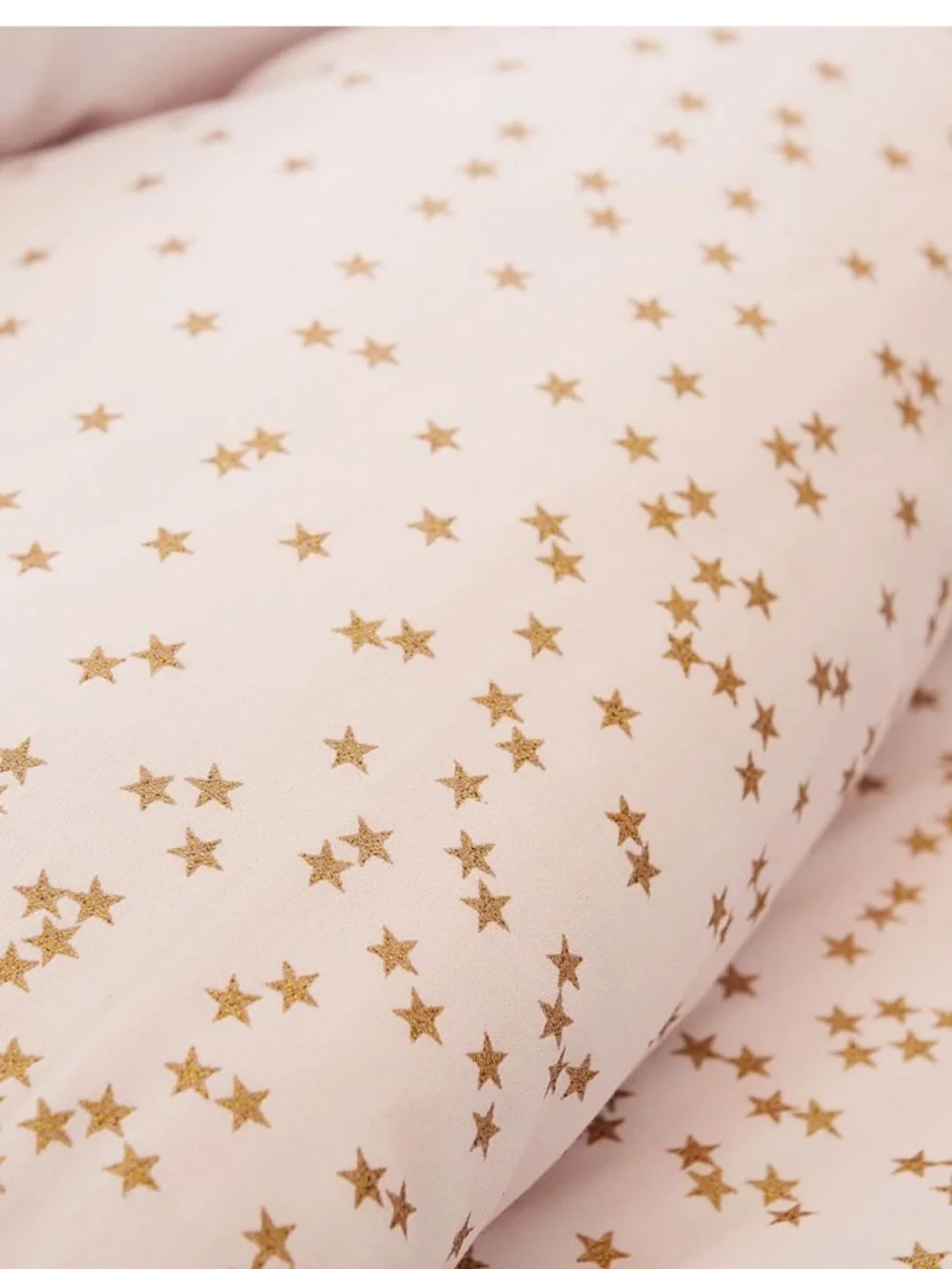 Set 2 Pottery Barn Monique Lhuillier Metallic Stardust Pillow Shams